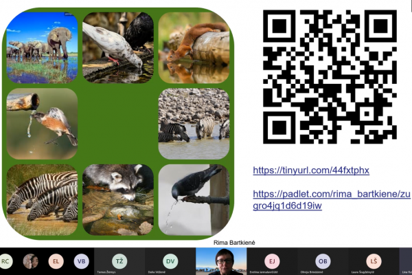 156902435-2571449513151219-6740952838687949649-nD13F1587-152F-67D4-0101-C225AC0B38B2.png