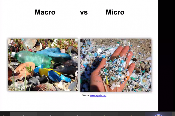 329BAC4D3-3632-B804-A3F0-8940CE451DDD.png