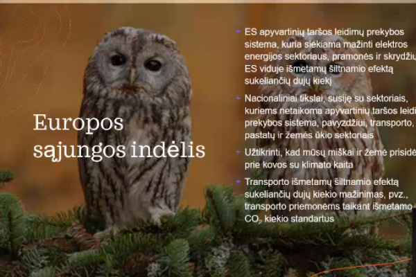 audinga1890941B7-A5F0-C0ED-1FAA-3BF3B642C315.png